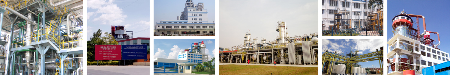 Detergent Powder Plant