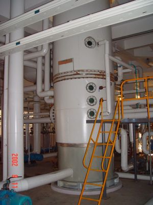 Glycerin Works Plant Cosmetics Plant